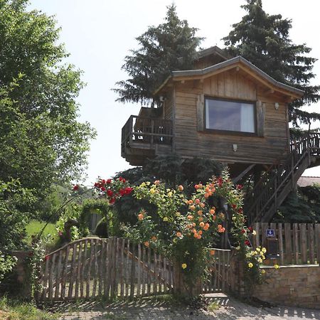 Baumhaus Βίλα Imbach Εξωτερικό φωτογραφία